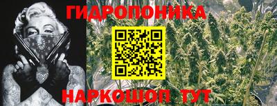 кокс Брянск